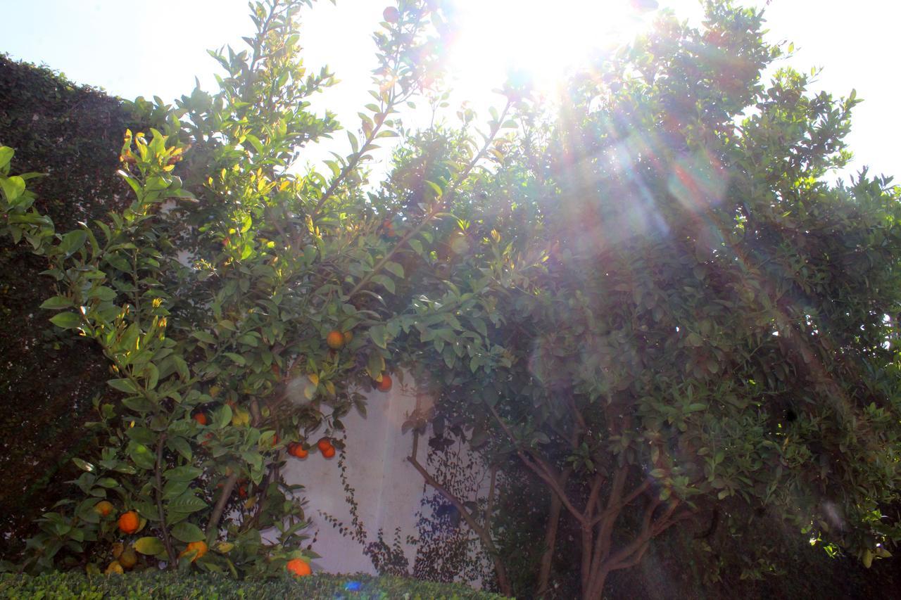 Hotel Y Cabanas Una Cosita De Zacatlán Exterior foto